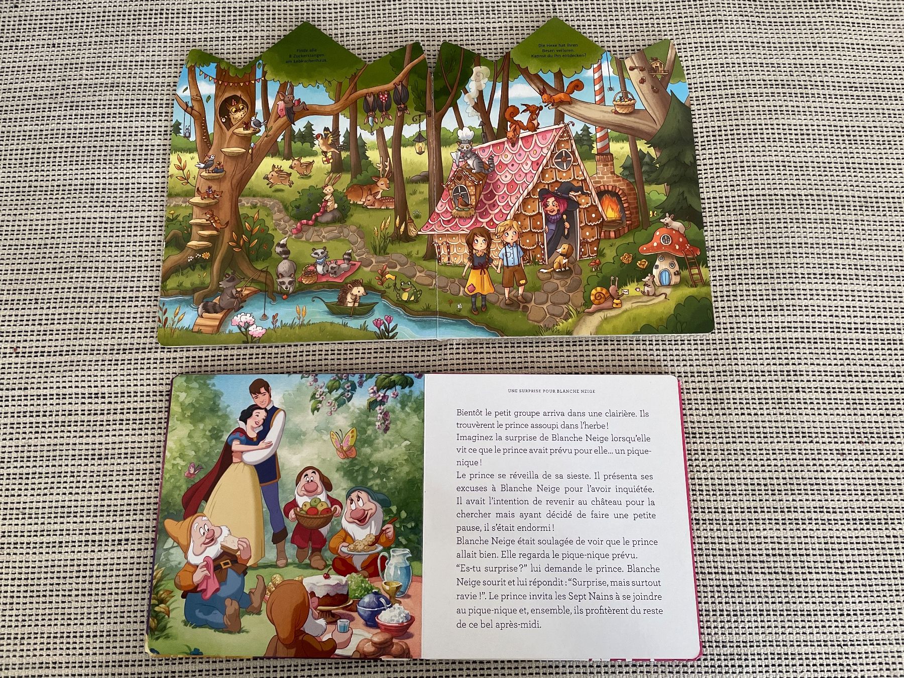Libri: Wimmelbuch / Disney Prinzessin – Usato da Düdingen venduto da Liaso 1