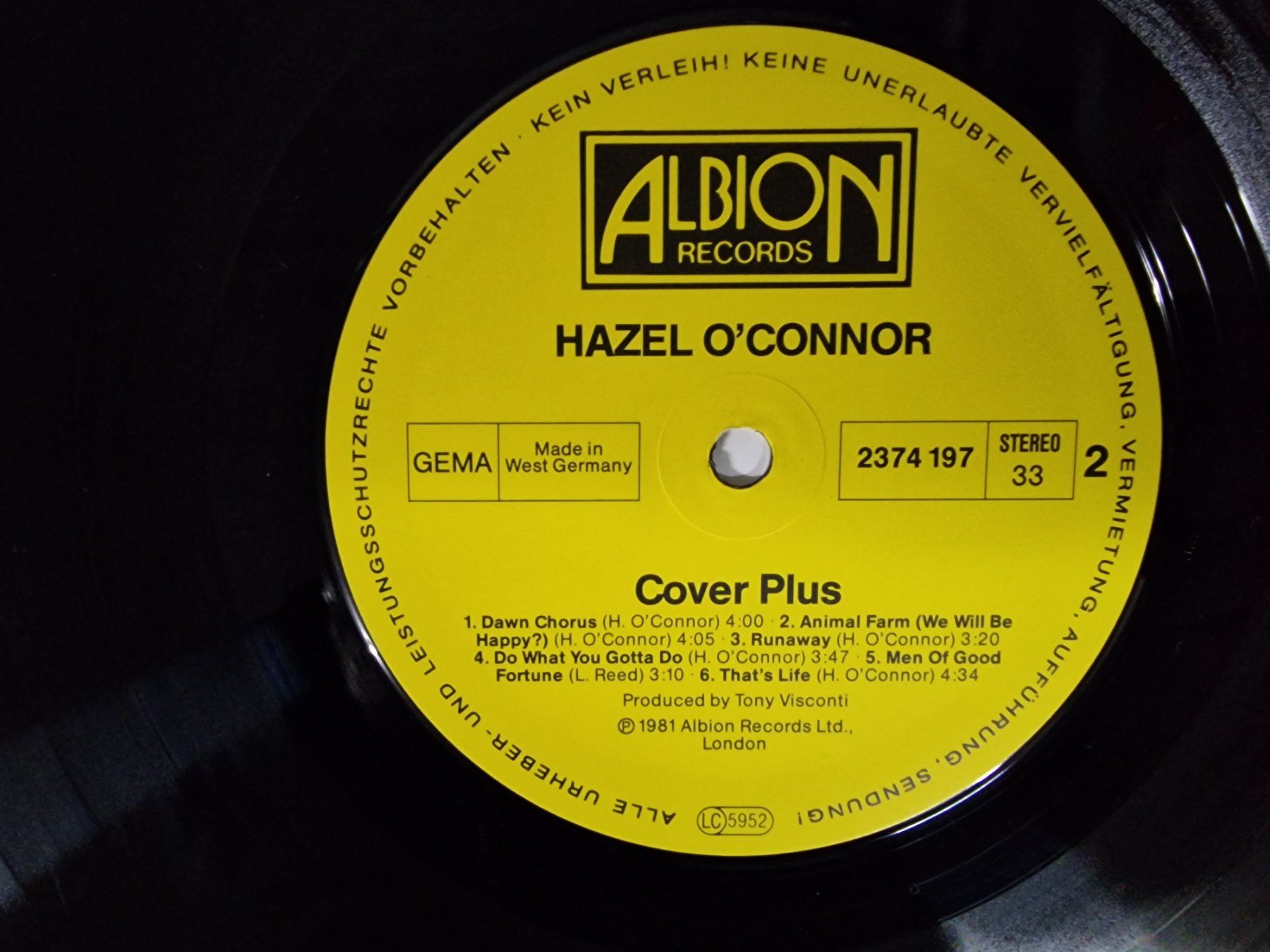 Dischi in vinile: Hazel O'Connor LP – Cover Plus – Usato da Root venduto da atelier22 2