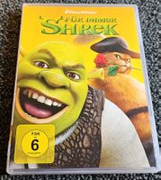 Shrek Forever After (21602)