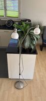 Stehlampe/Leselampe