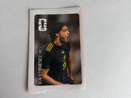 WM 26 Panini Coca Cola 8 - Raul Jimenez