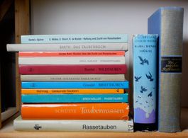 Konvolut Bücher Tauben 15 Titel