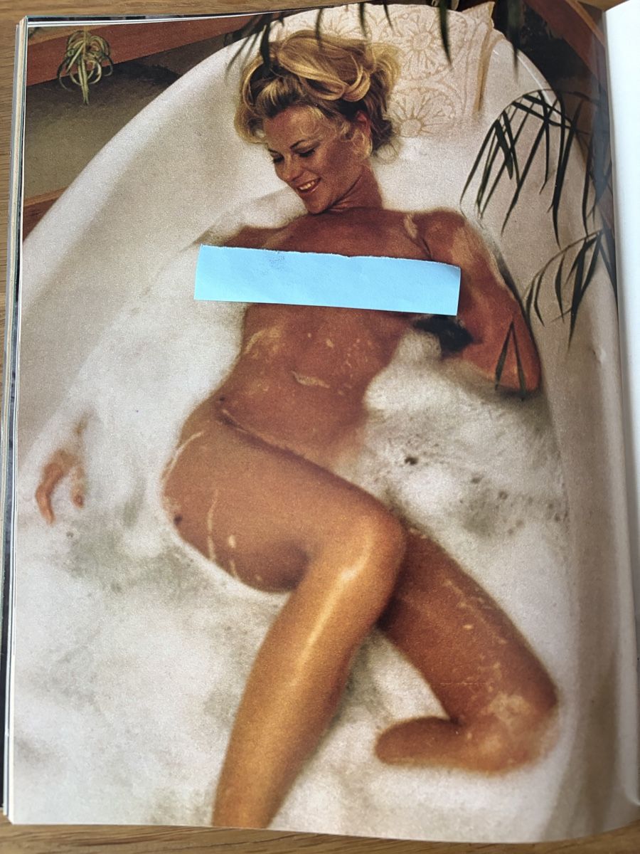 Riviste & Magazine: Penthouse Juni 1976   – Usato da Lengnau BE venduto da tho_8v9x 3