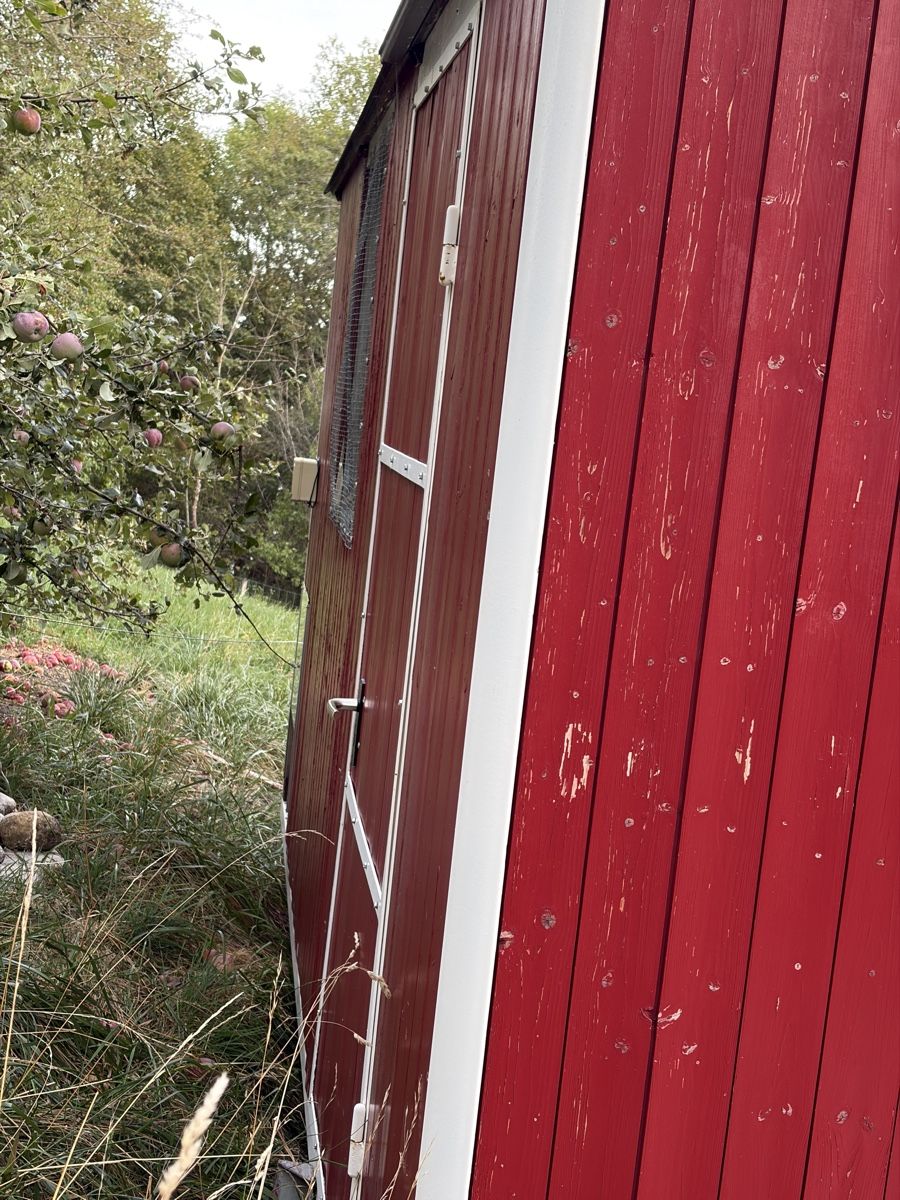 Remorques: Baustellenwagen/ Hühnerstall / Tiny Hous – D'occasion à Günsberg par higa4524 2