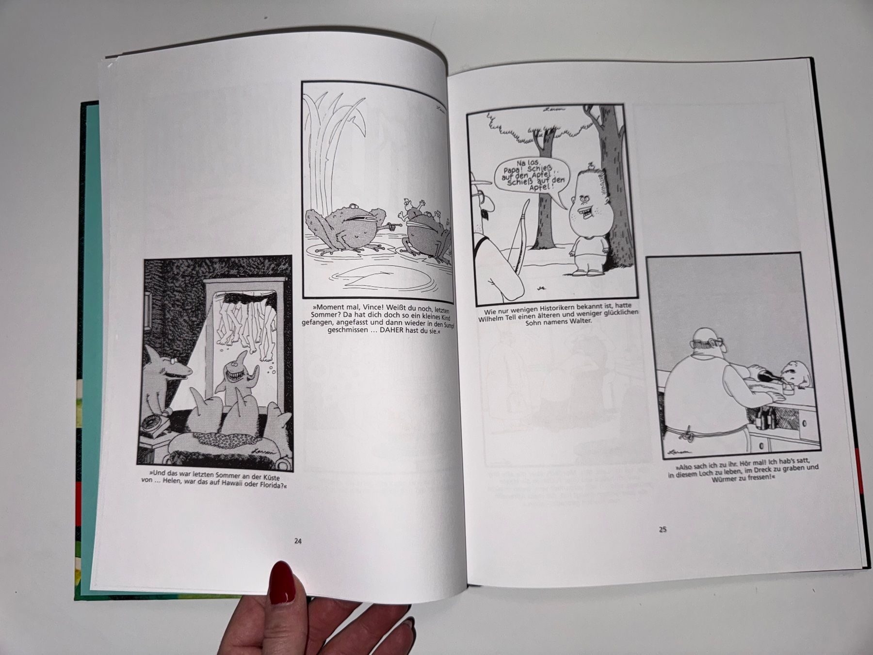 Bücher: BUCH: Gary Larson, Der Hund der anderen Seite – Gebraucht aus Grosswangen von Second_hand_paradise 3