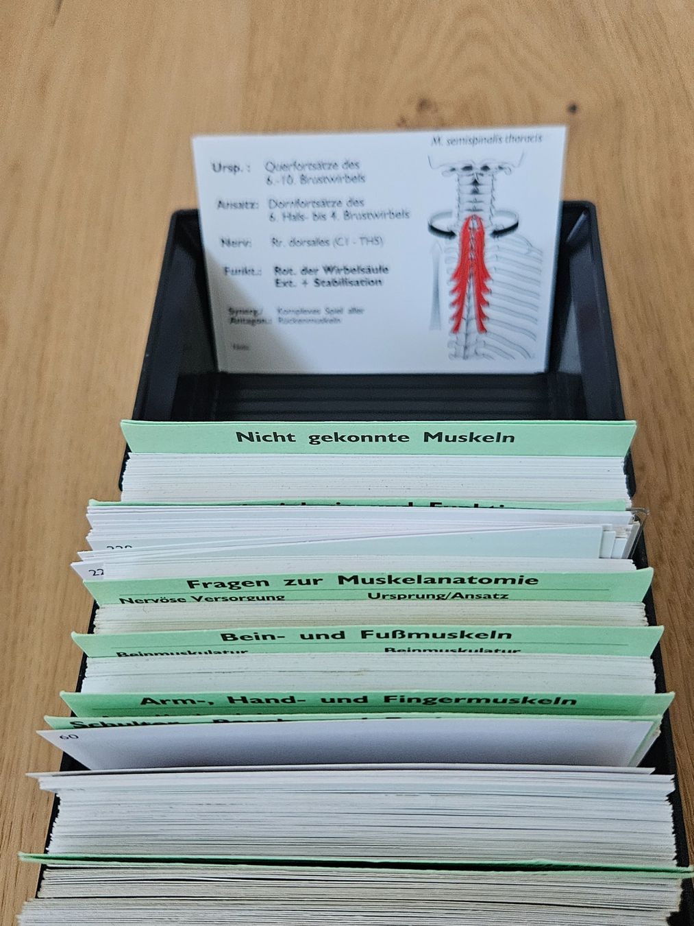 Sonstiger Schulbedarf: Lernkarten Anatomie – Gebraucht aus Ebnat-Kappel von baefzger 3