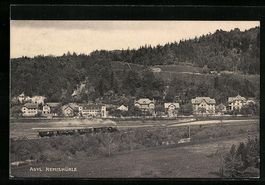 AK Remismühle, Panorama mit Asyl, 1915