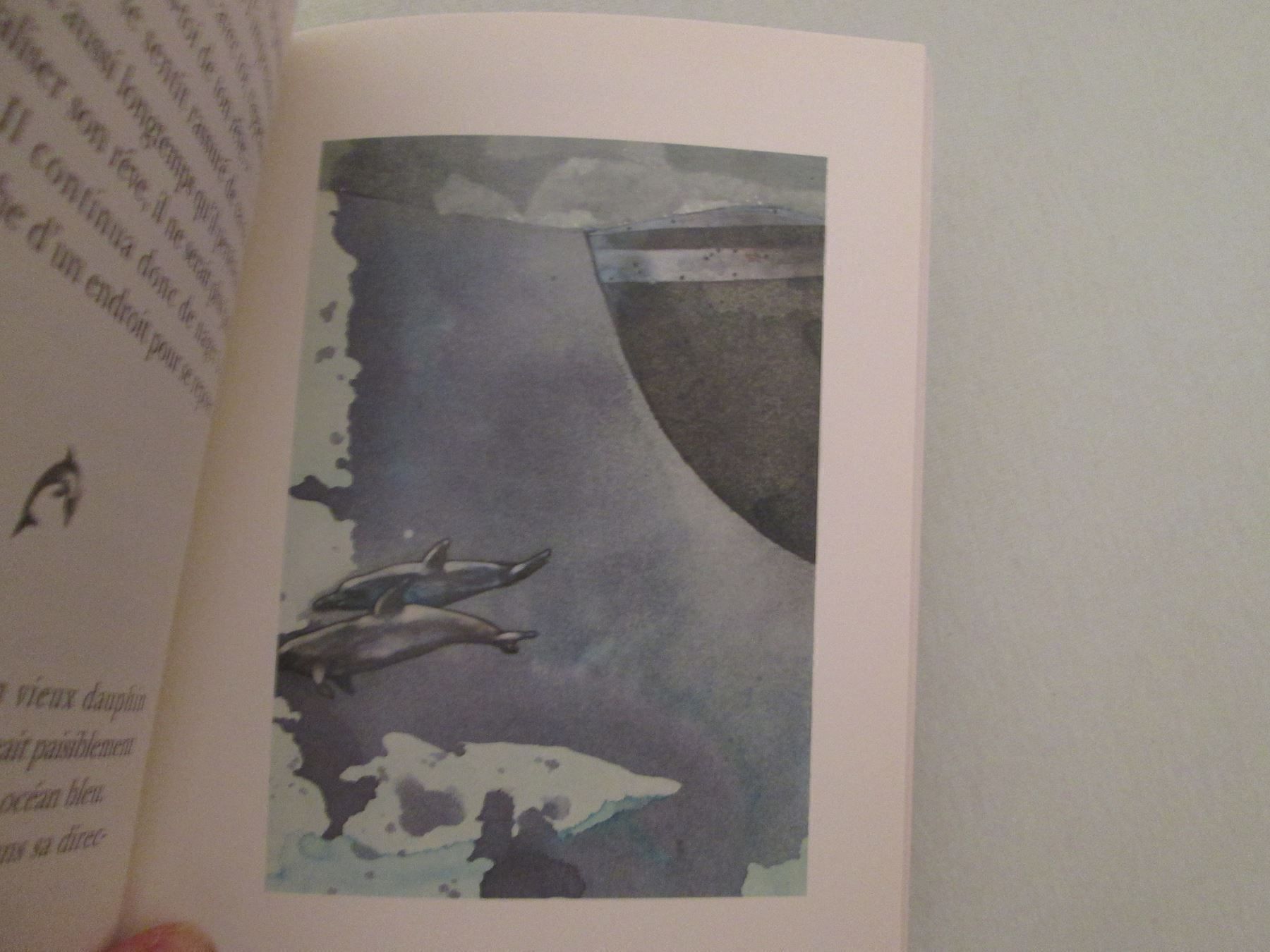 Libri: Le dauphin qui rêvait – Usato da Neuchâtel venduto da Dualseele 7
