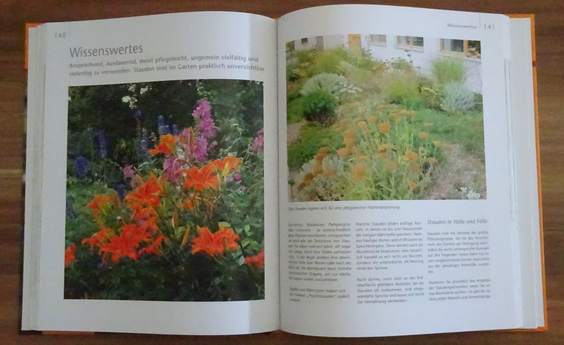 Libri: Die schönsten Gartenpflanzen – Usato da Wagenhausen venduto da Svema 1