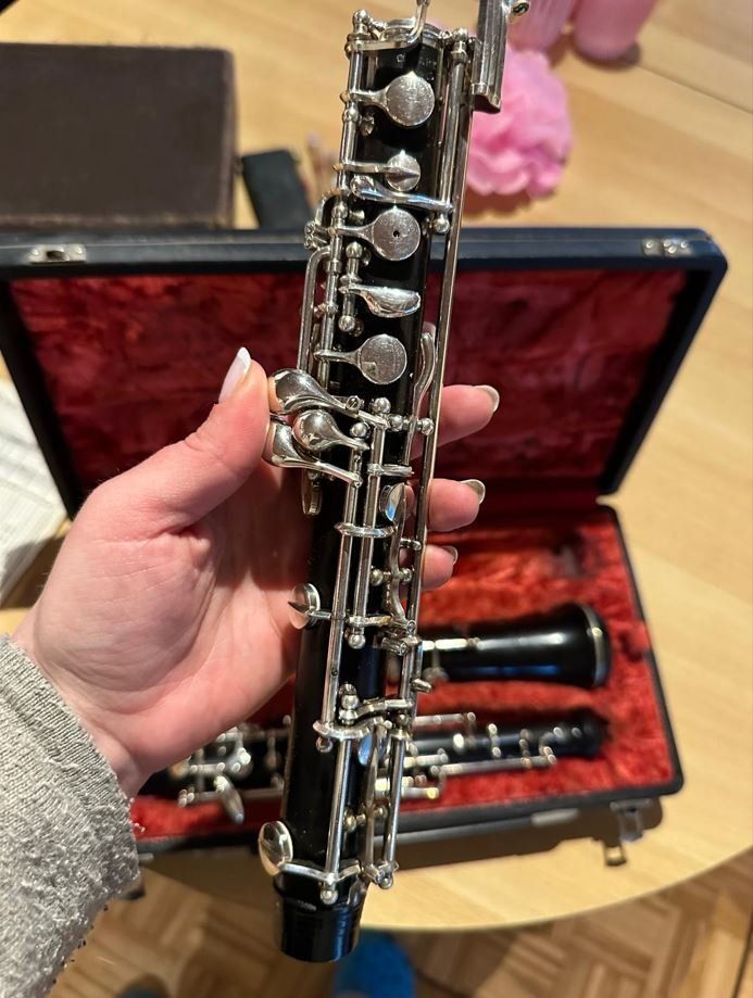 Strumenti musicali: Hautbois Cabart occasion – Usato da Reconvilier venduto da ann_jv57 2