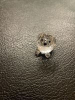 Hund sitzend