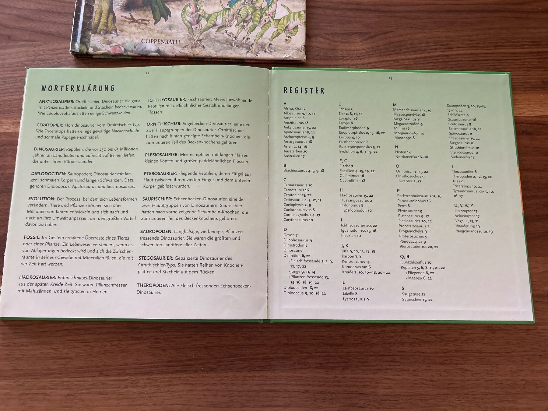 Libri: Dinosaurier Bücher von Coppenrath – Usato da Magden venduto da ctw_mp7b 5