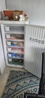 Novamatic TF 200.2-IB Gefrierschrank