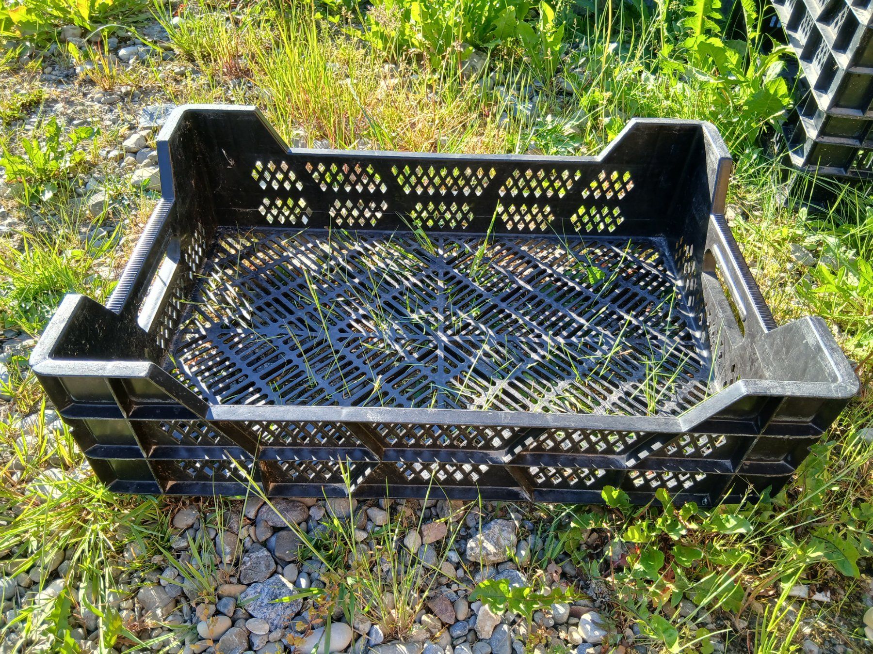 Transportkisten: Stabile Gitterbox – Gebraucht aus Schönenberg TG von jo.ka.wa