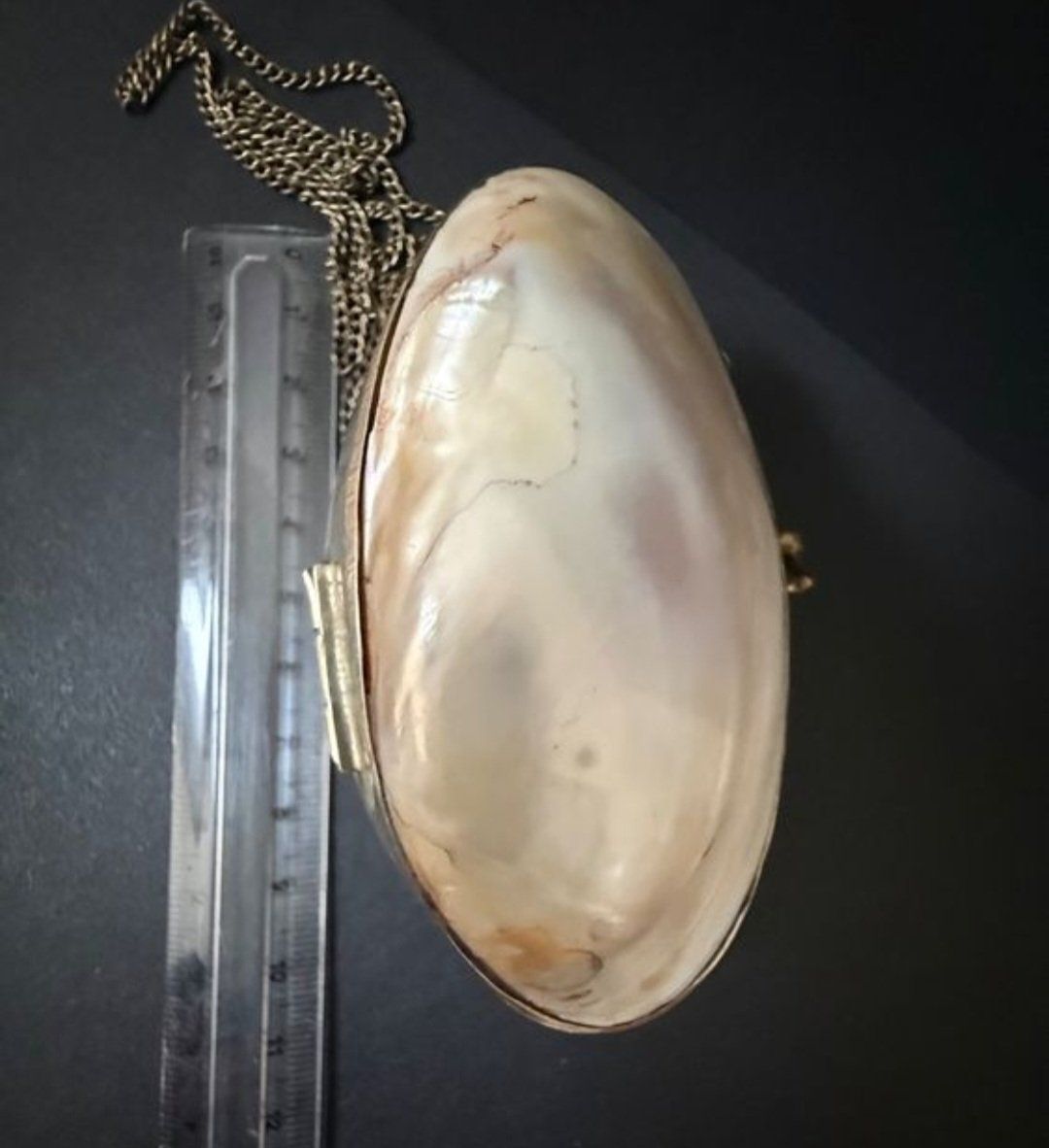 Borse da donna: Antike kleine Tasche Muschel – Usato da Wohlen b. Bern venduto da lau_7vcp 2