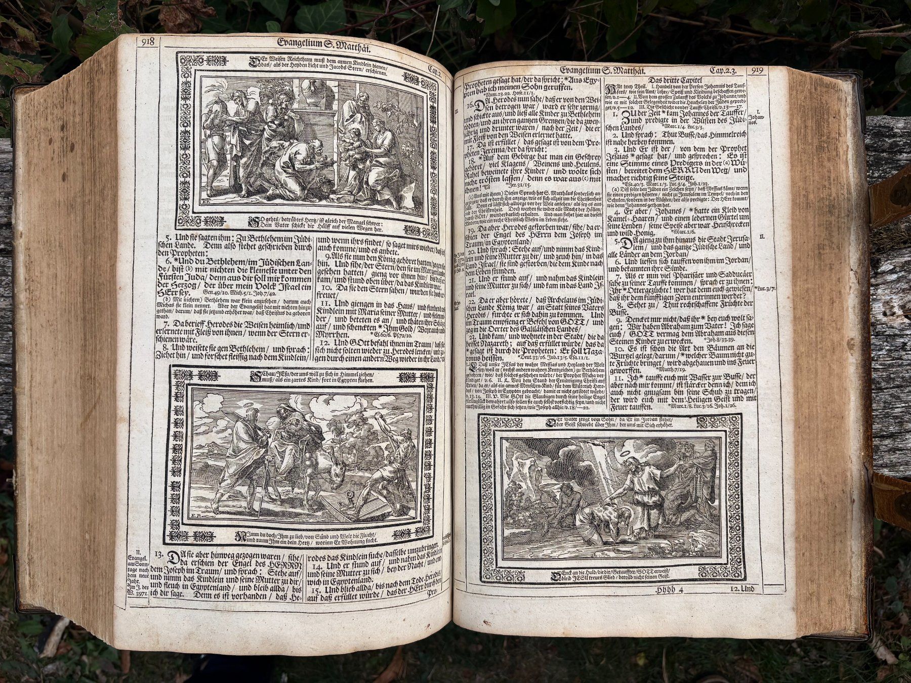 Bücher: Endterische Holzschnitt-Bibel – Gebraucht aus Stüsslingen von Ideur1 2