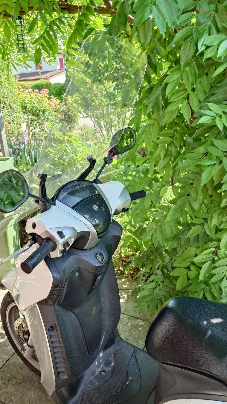 Yamaha Scooters: Yamaha xenter Roller 125ccm mit Topcase – Gebraucht aus Wil SG von portu1 3