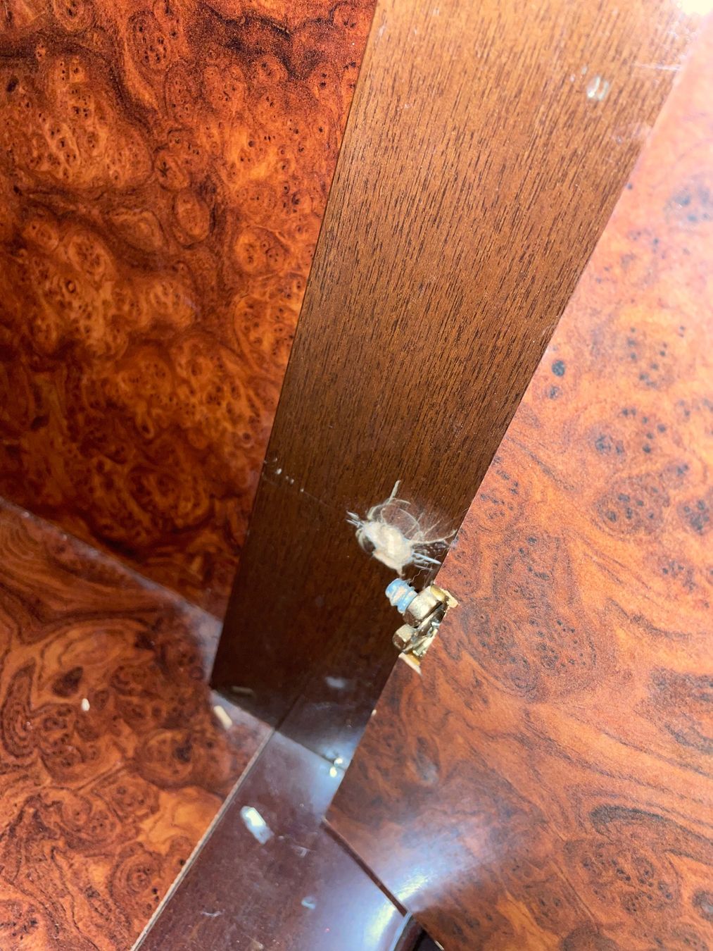 Commodes: Holzmöbel – D'occasion à Berg am Irchel par fab_w9rk 2