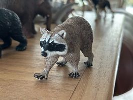 Schleich Waschbär Sammelfigur