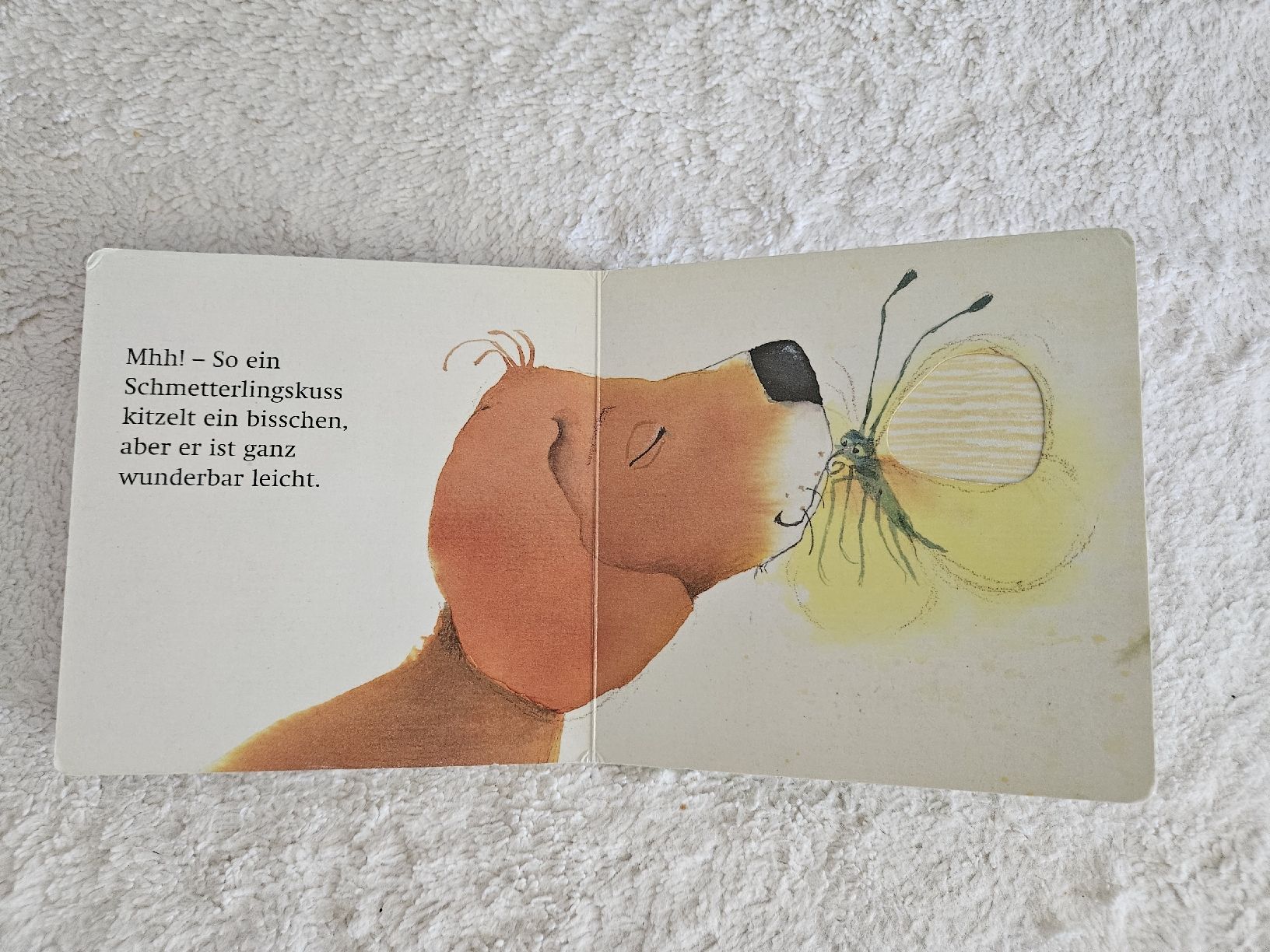 Libri: Baby Fühlbuch "Noch ein Kuss" – Usato da Zürich venduto da Kris8050 6