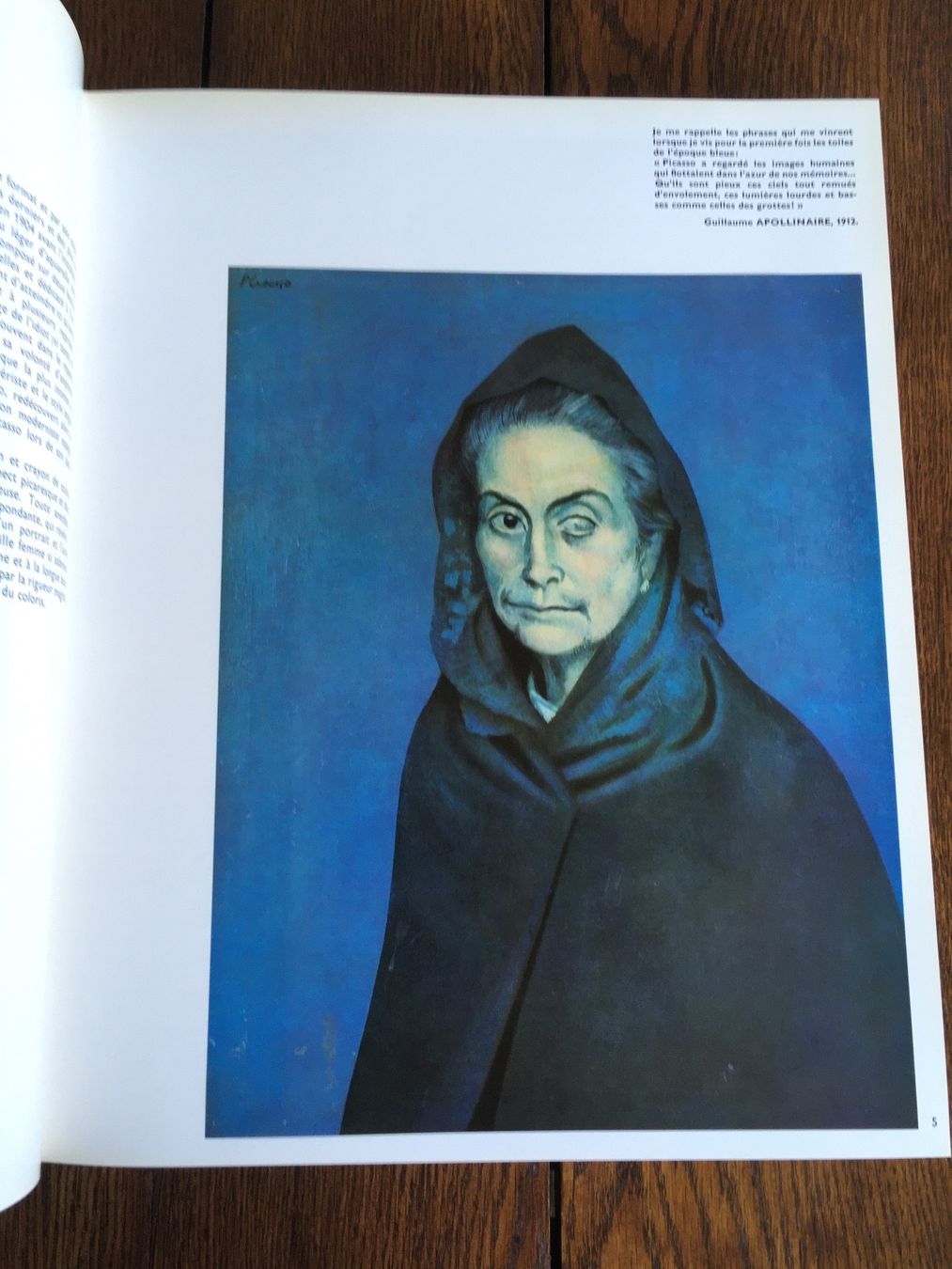 Libri: Picasso - Métamorphoses et unité – Usato da Basel venduto da Peter_schlemihl 8