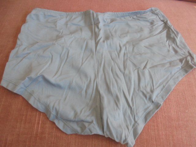 H&M Altra biancheria intima: Slip Gr. 44/46 Grau H&M NEU – Nuovo (secondo la descrizione) da Hinwil venduto da Glasperlen 1