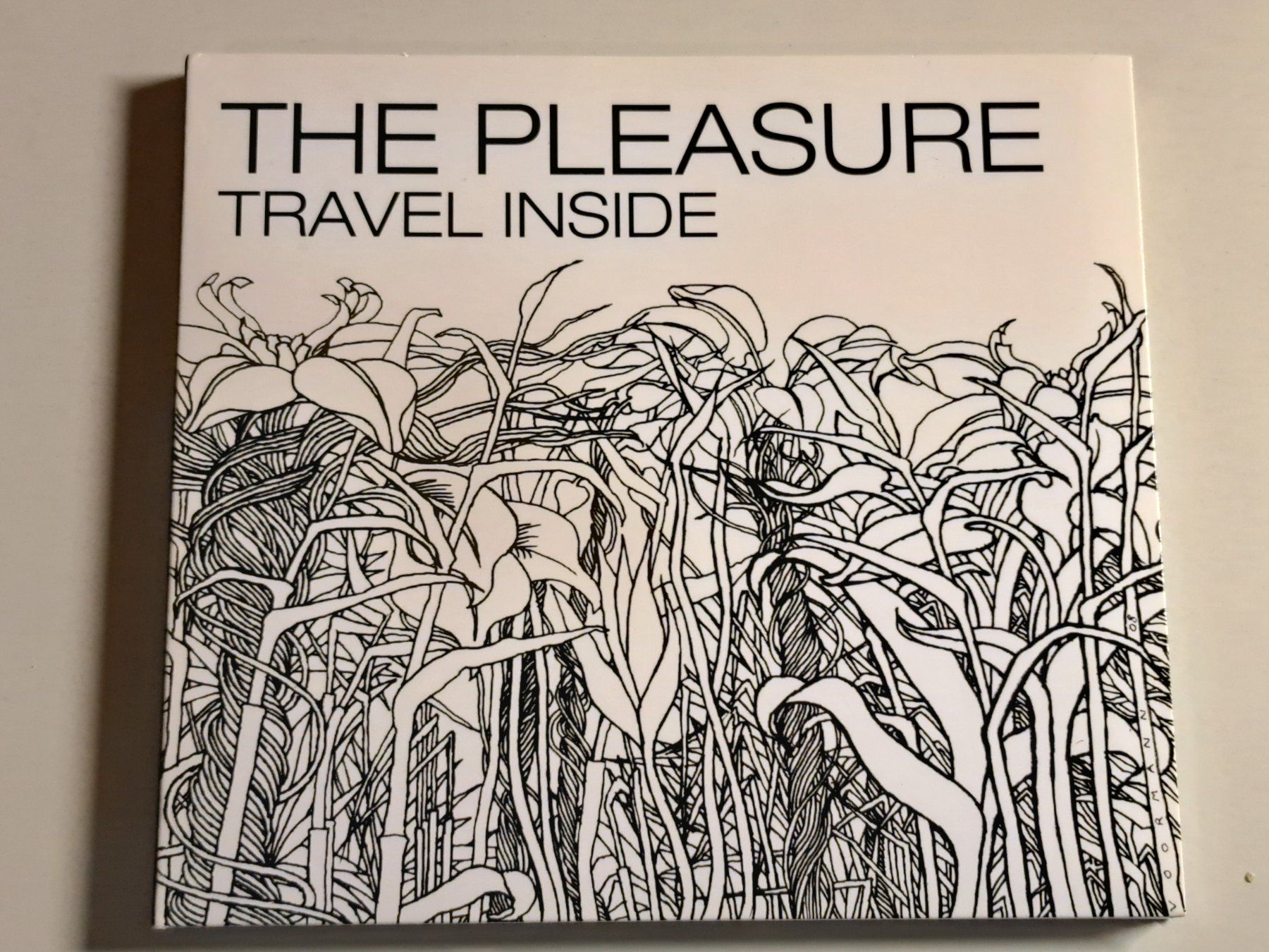 CD: THE PLEASURE - Travel Inside – Usato da Wichtrach venduto da LuckyLuke69