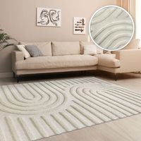 PREISVORSCHLAG ✅Moderner Teppich Skandi 3D Motiv NEU 160x220