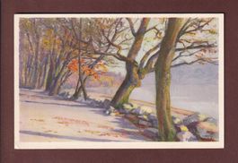 LAUSANNE - Ouchy - Fin d'automne