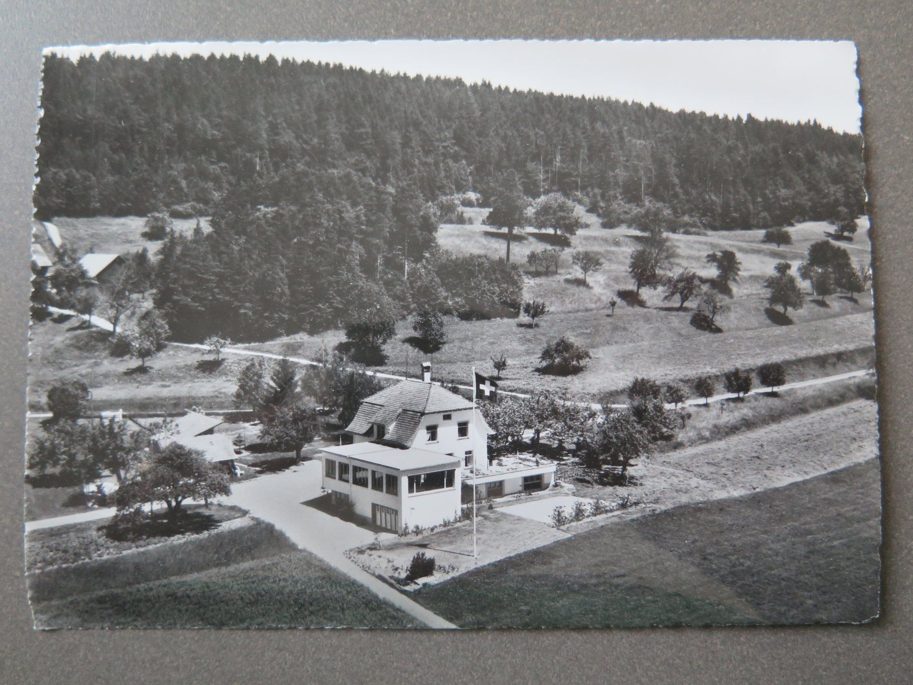 Ansichtskarten: FRAUENFELD - GASTHAUS STÄHELIBUCK – Gebraucht aus Wittenbach von lipasal