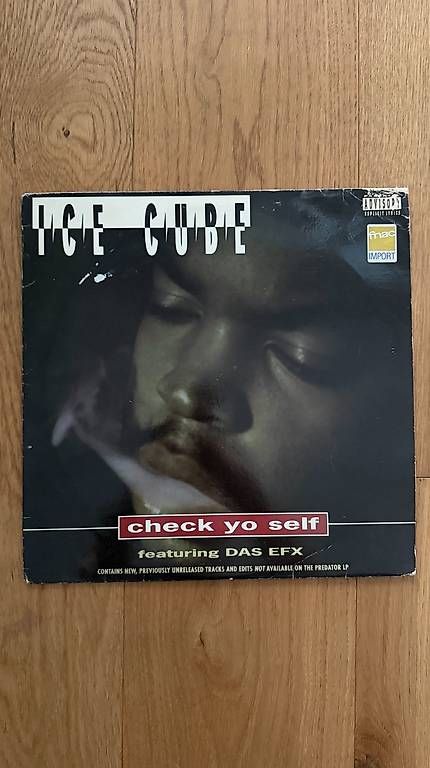 Dischi in vinile: Check Yo Self  Ice Cube feat. Das EFX  Vinyl Single – Usato da Düdingen venduto da Emphilly