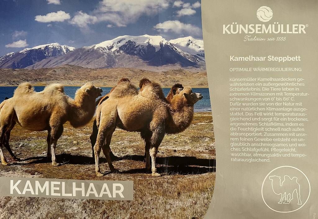 Coperte: hochwertige Kamelhaar Steppdecken !! NEU !! – Nuovo e nell'imballaggio originale da Volketswil venduto da Mh11