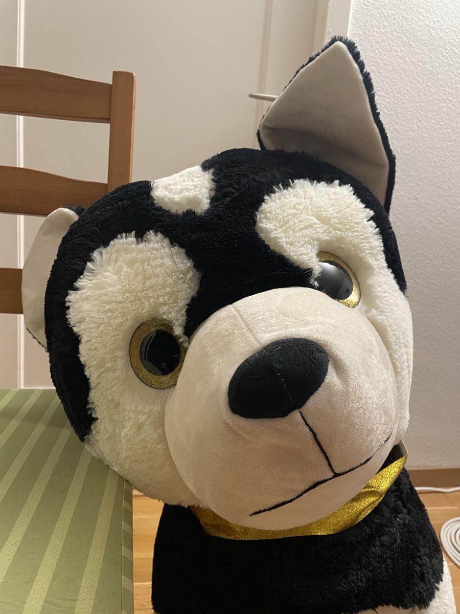 Giocattoli: Big Dog Plushy, plush, Husky – Usato da Zürich venduto da sezamki 3