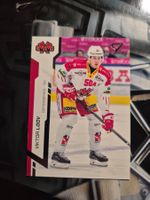 Viktor Lööv EHC Biel 2024/25 Sportzoo
