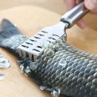 Fischschuppenschaber, Multifunktionsschaber aus Edelstahl