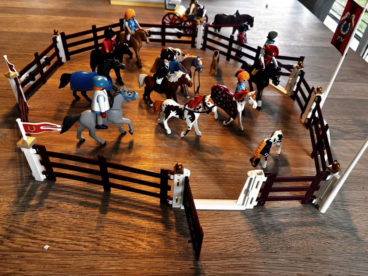 Playmobil Giocattoli: Lot de Playmobil Équitation  – Usato da Pully venduto da Fictikalli