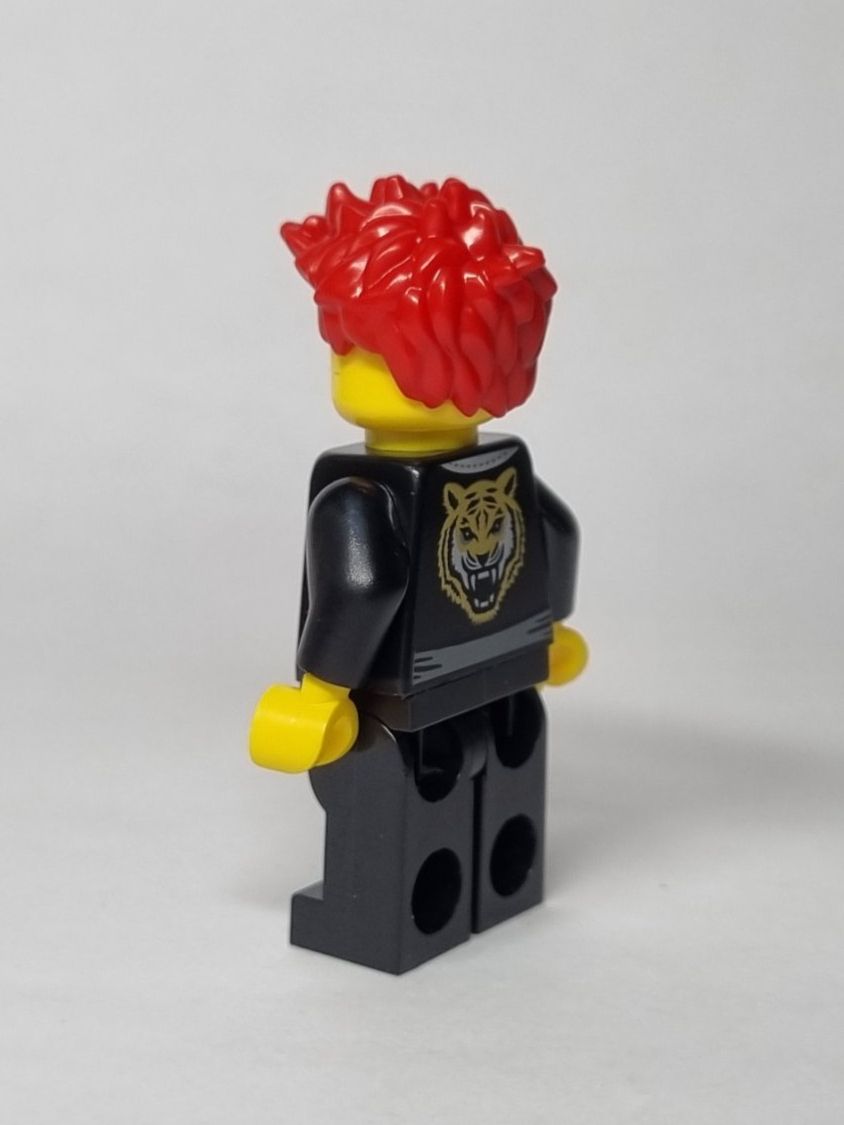 Lego Kit di costruzioni: LEGO BAM Easter 2025 Ninja with black tiger robe – Nuovo (secondo la descrizione) da Basadingen venduto da NekoBricks 6