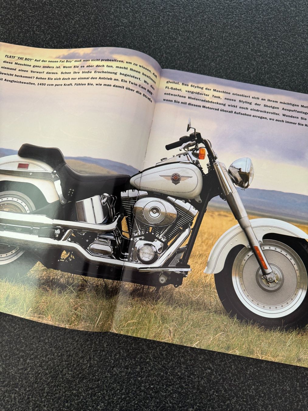 Documenti: Harley-Davidson Prospekt, Katalog, Broschüre 2000 – Usato da Niederhasli venduto da Berno 3
