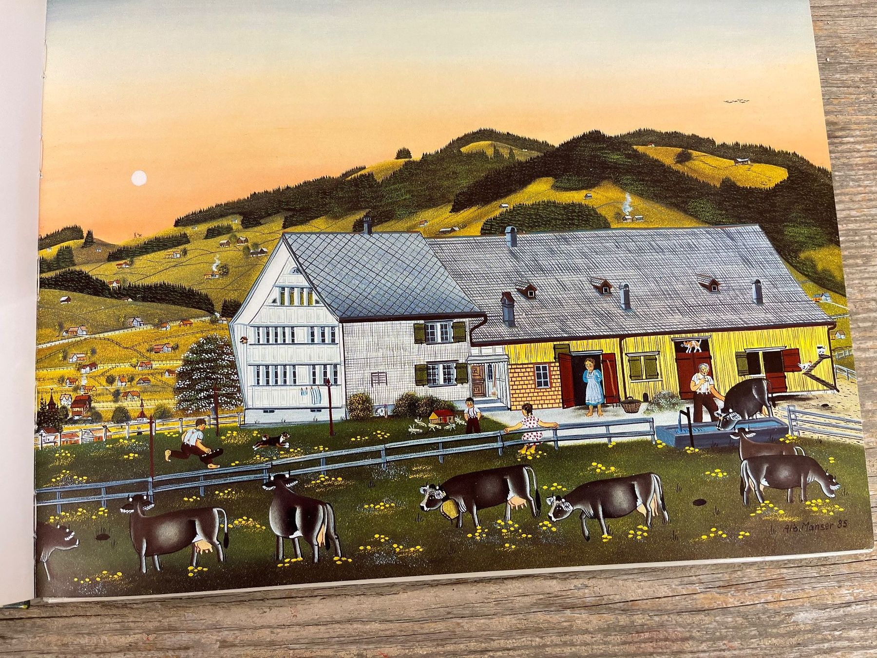 Libri: Albertli Geschichte eines Appenzeller Bauernbuben/A. Manser – Usato da Pfäffikon ZH venduto da buresi 9