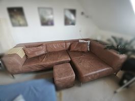 Bullfrog CAMP Ledersofa