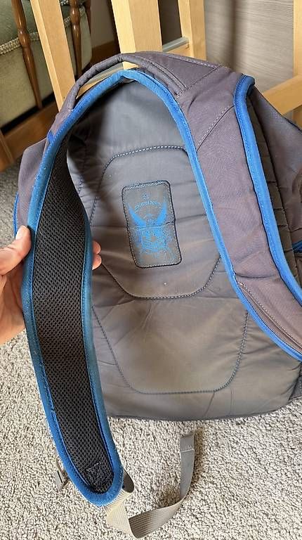 Zaini: Dakine Rucksack – Usato da St. Gallen venduto da ema_rcj6 2