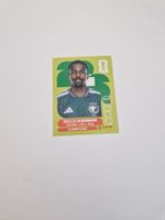 Panini Sticker KSA11
