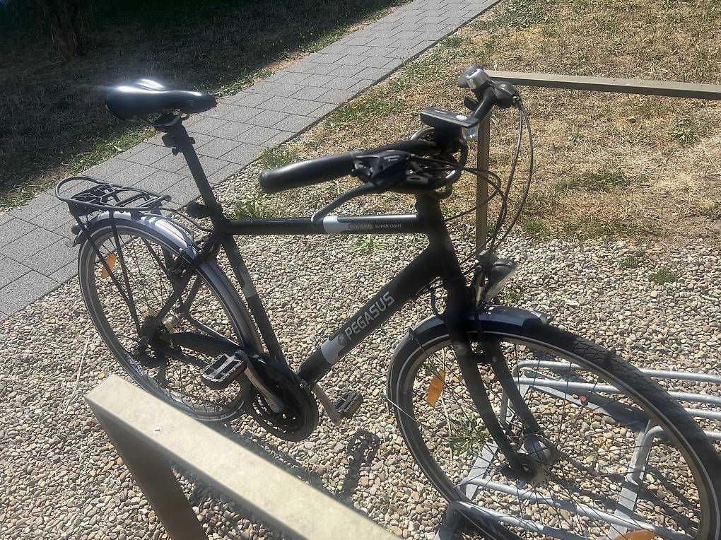 Velos: Pegasus Velo zu verkaufen – Gebraucht aus Alberswil von mic_d2mc 2