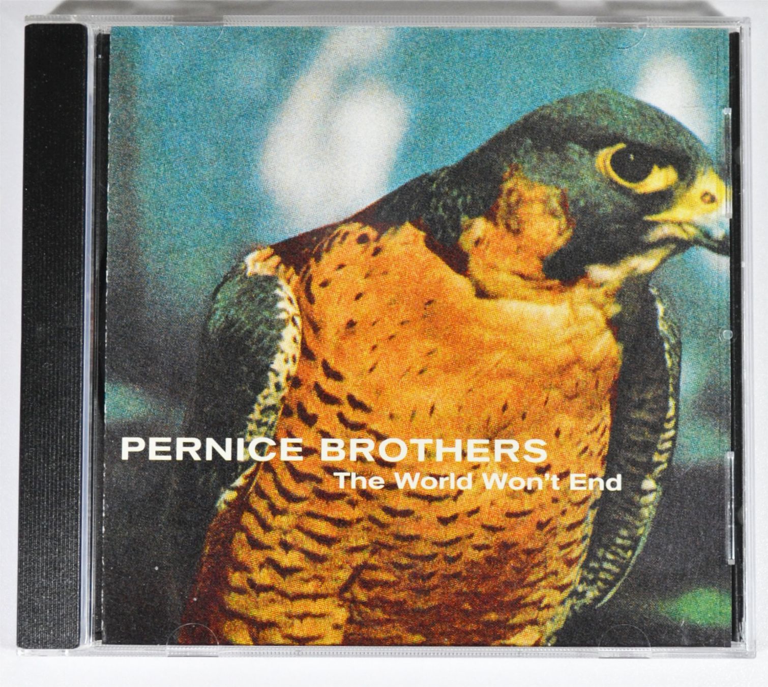CD: CD: PERNICE BROTHERS - The World Won't End – Nuovo (secondo la descrizione) da Frenkendorf venduto da Yard-Sale-2000