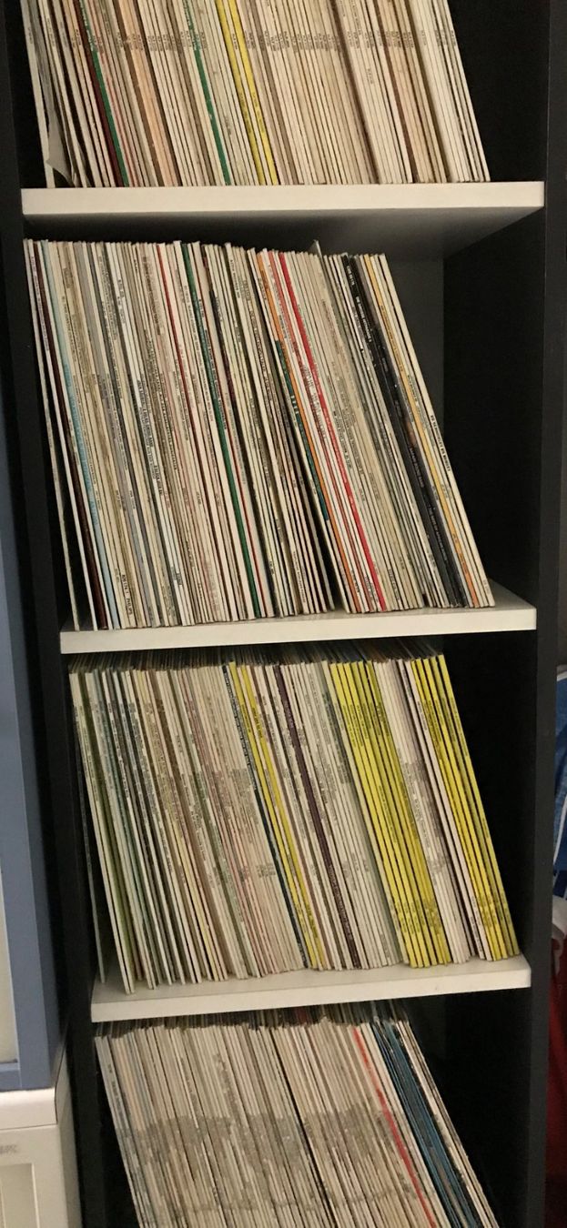 Schallplatten: Schallplattensammlung inkl. Regal – Gebraucht aus Schüpfheim von natur76 1