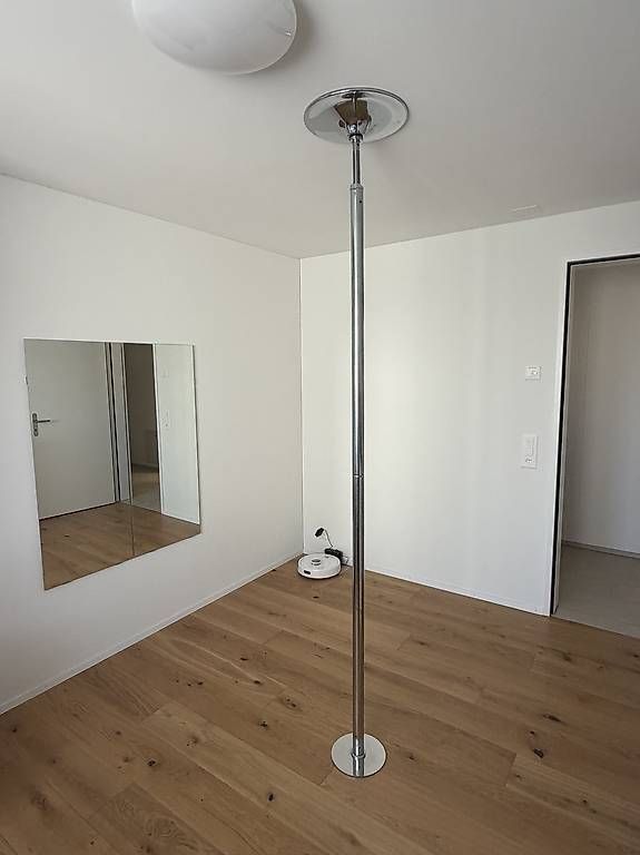 Hometrainer: Polestange 45mm Durchmesser – Usato da Winterthur venduto da Kubi26