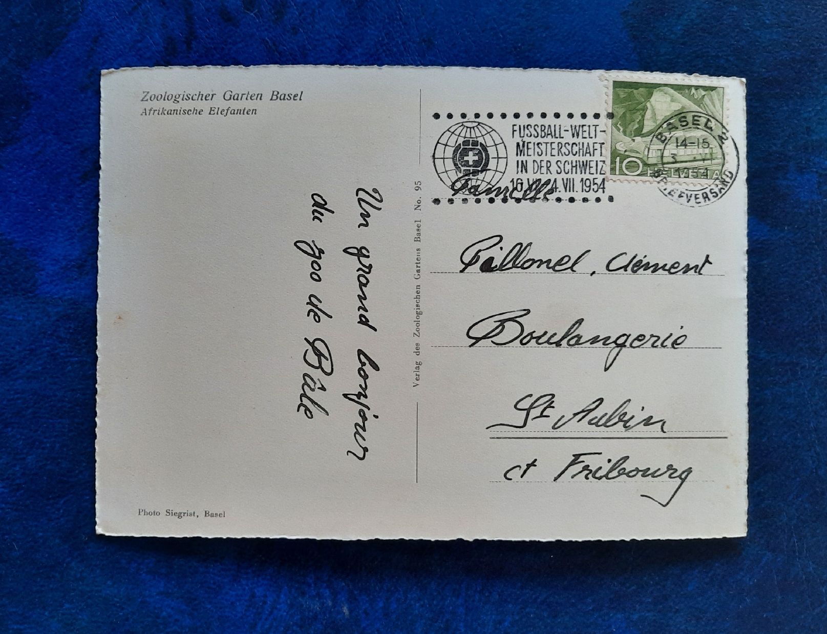 Cartoline postali: Ansichtskarte Basel Zoo mit Elefanten, gest. 1954 – Usato da Marly venduto da neu-adlerauge65 1