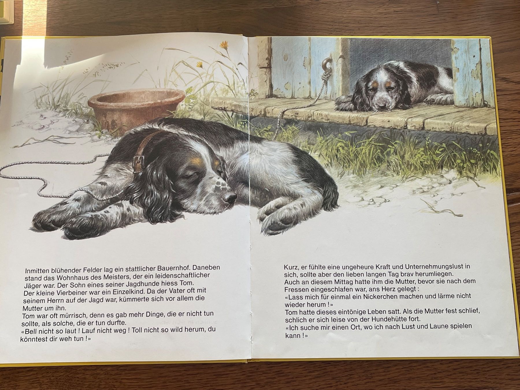 Libri: Kinderbuch "TOM, das herrenlose Hündchen" Mondo Verlag – Usato da Zuerich venduto da Dorsi 2