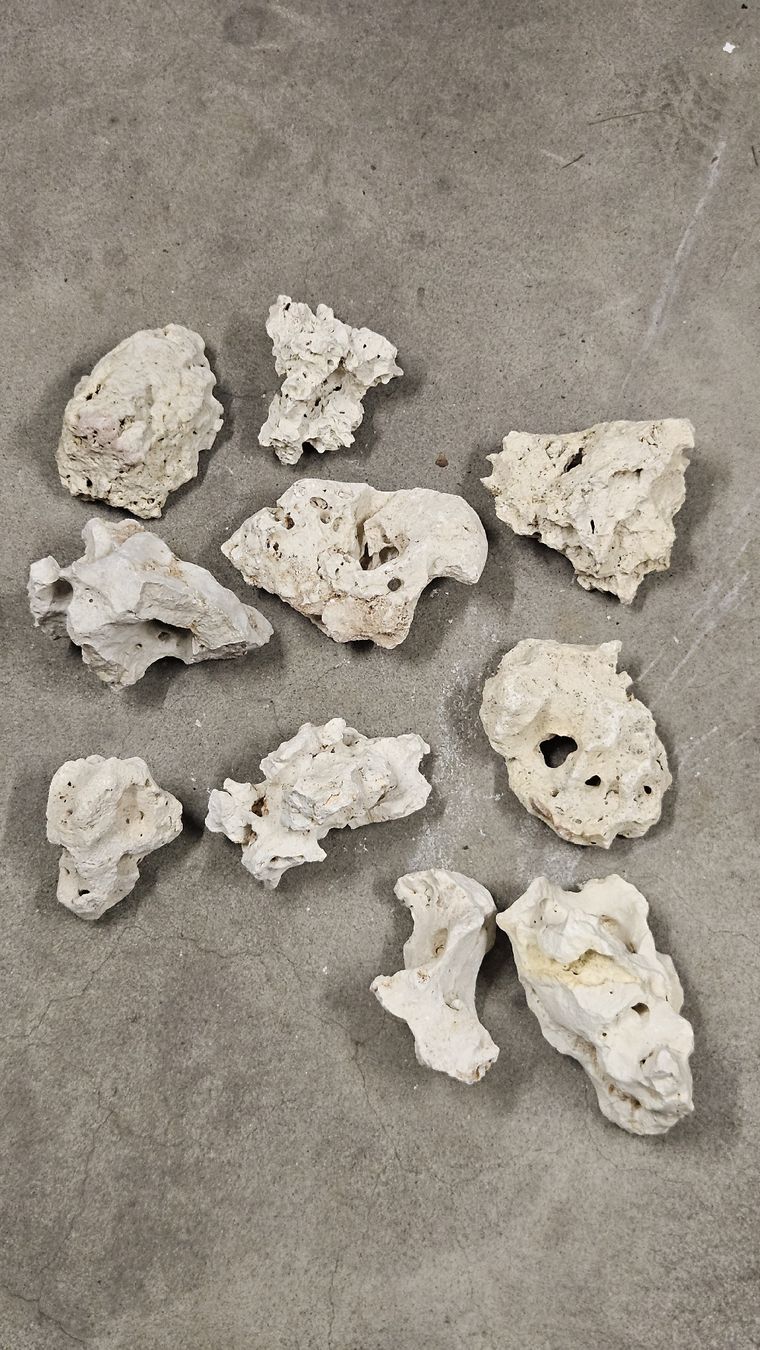 Acquari: Pierre calcaire aquarium 20kg – Nuovo (secondo la descrizione) da Avenches venduto da Chorizo02 2