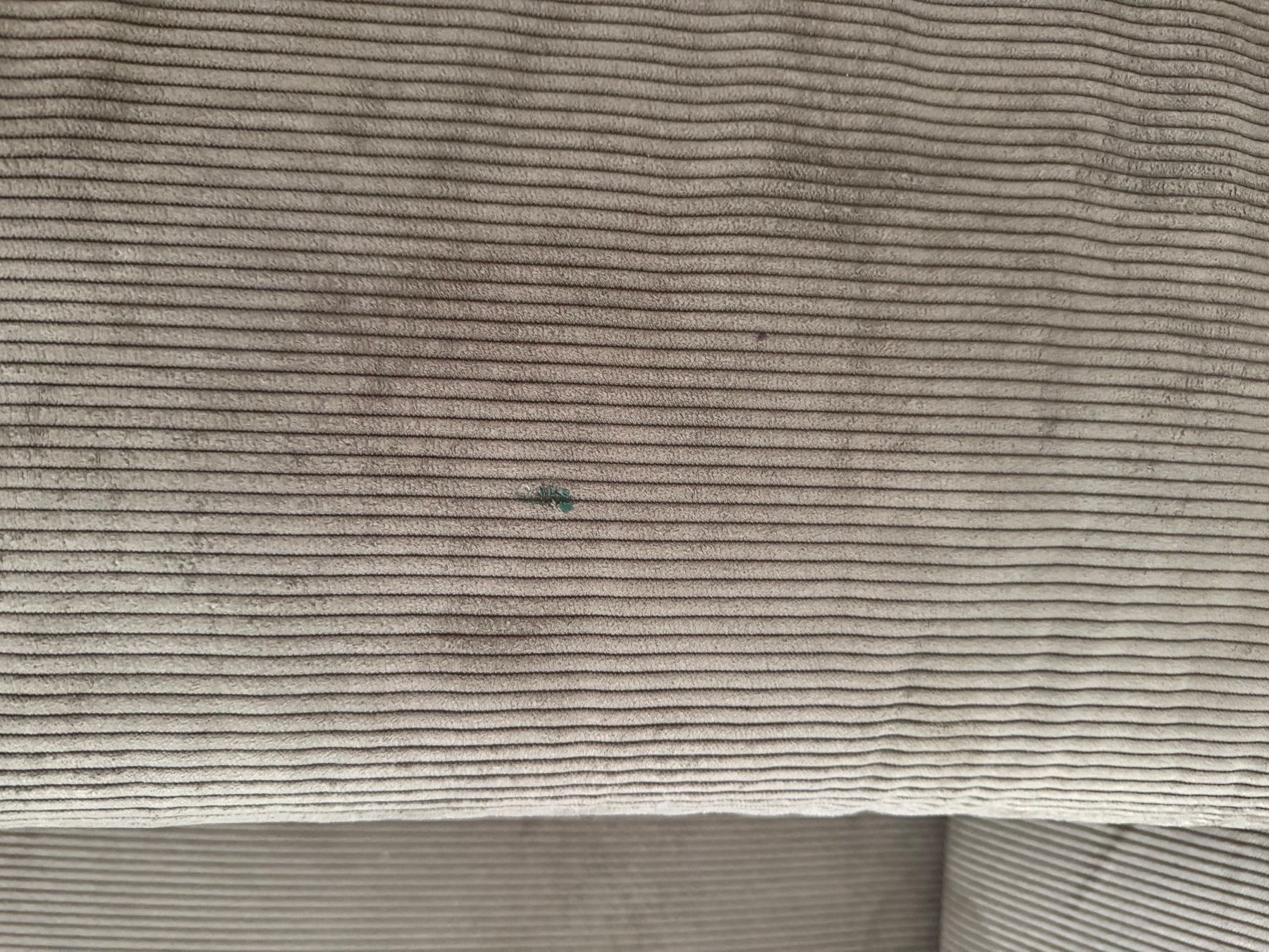Pfister Sofas: Sofa von Pfister – D'occasion à Bülach par skeric 1